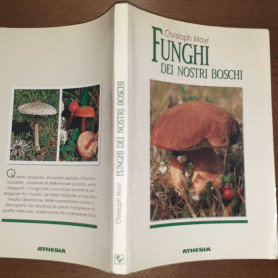Funghi dei nostri boschi