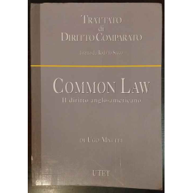 Common Law. Il diritto anglo-americano