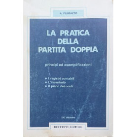 La pratica della partita doppia