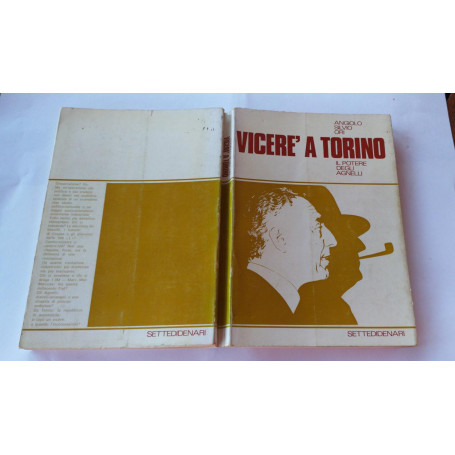 Vicere' a Torino. Il Potere degli Agnelli