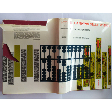 Il cammino della scienza. Volume 1: La matematica