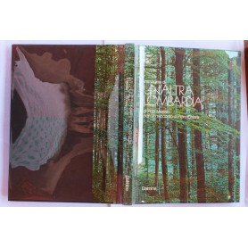 Immagine di un'altra Lombardia