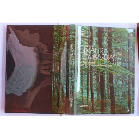 Immagine di un'altra Lombardia