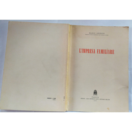 L'impresa familiare