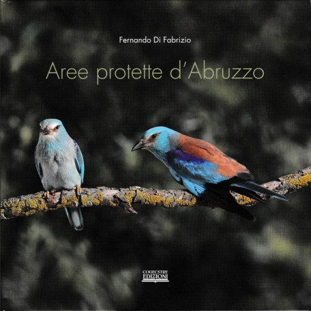 Aree protette d'Abruzzo