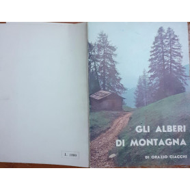 Gli alberi di montagna