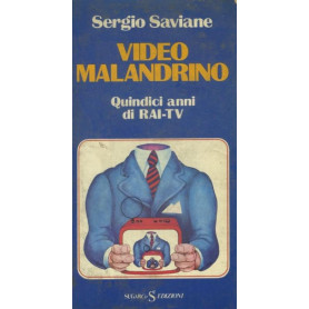 Video malandrino. Quindici anni di Rai tv