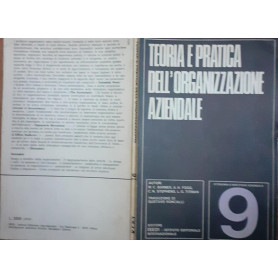 Teoria e pratica dell'organizzazione aziendale