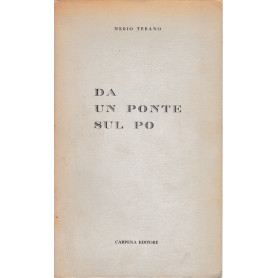 Da un ponte sul Po