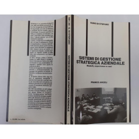 Sistemi di gestione strategica aziendale