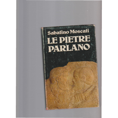 Le pietre parlano. Alla scoperta dell'Italia sepolta