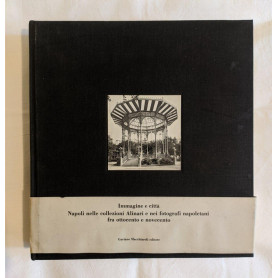 Napoli nelle collezioni Alinari e nei fotografi napoletani fra ottocento e novecento