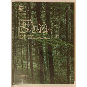 Immagine di un'altra Lombardia