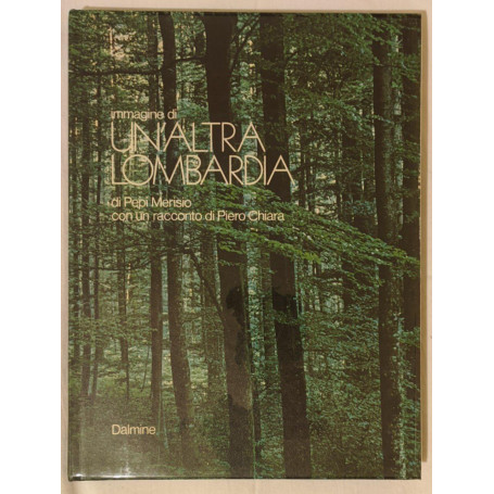Immagine di un'altra Lombardia