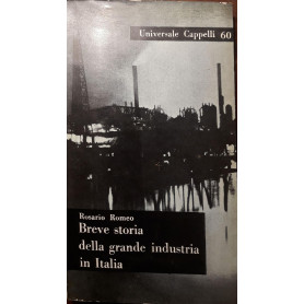 Breve storia della grande industria italiana