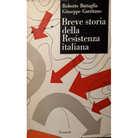Breve storia della resistenza italiana