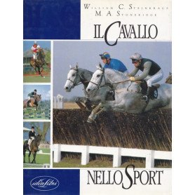 Il cavallo nello sport