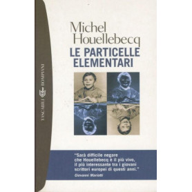 Le particelle elementari