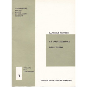 La coltivazione dell'olivo