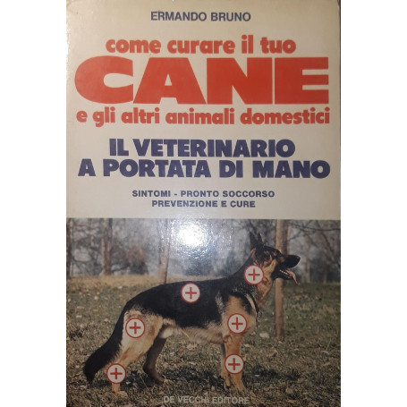 Come curare il tuo cane e gli altri animali domestici