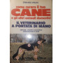 Come curare il tuo cane e gli altri animali domestici