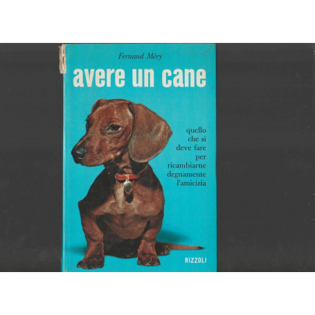 AVERE UN CANE
