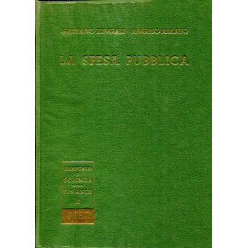 La spesa pubblica