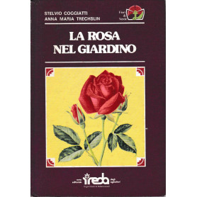 La rosa nel giardino