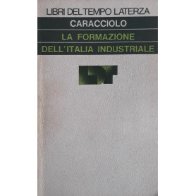 La formazione dell'Italia industriale