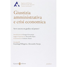 Giustizia amministrativa e crisi economica. Serve ancora un giudice sul potere?