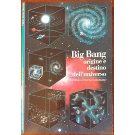 Big bang. Origine e destino dell'universo