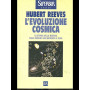 L'evoluzione cosmica