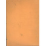 teoria dell'indagine