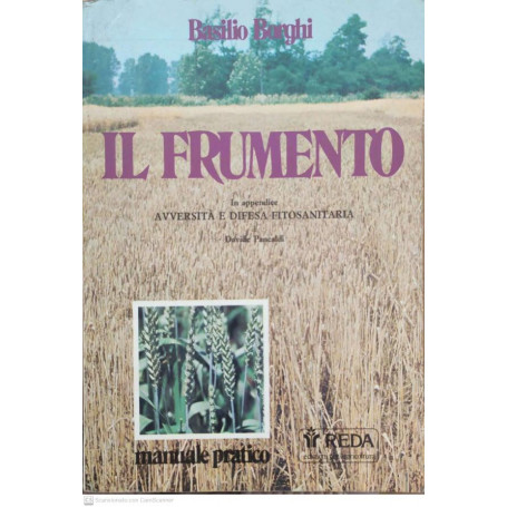 Il frumento
