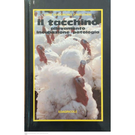 Il tacchino. Allevamento