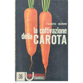 La coltivazione della carota