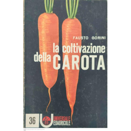 La coltivazione della carota