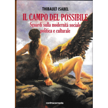 Il campo del possibile. Sguardi sulla modernità  sociale