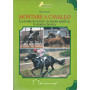 Montare a cavallo : la monta a lavoro
