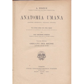 Anatomia umana. VII. Organi dei sensi.