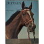 Chevaux