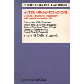 Altre organizzazioni. Contesti e dinamiche organizzative nella società  post-industriale