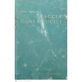 Caccia