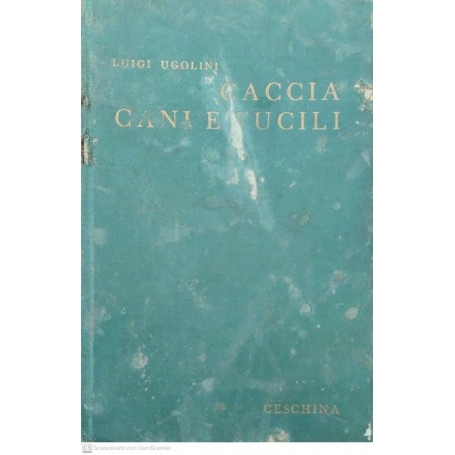 Caccia