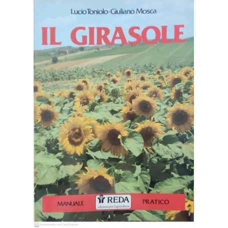 Il Girasole