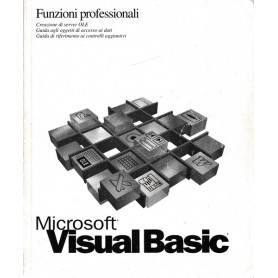 Microsoft Visual Basic. Funzioni professionali