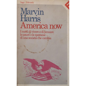 America now. I modi di vivere e di pensare