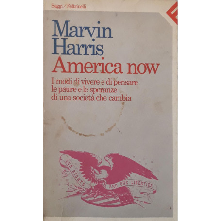 America now. I modi di vivere e di pensare