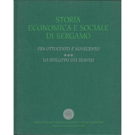 FRA OTTOCENTO E NOVECENTO. 3: LO SVILUPPO DEI SERVIZI
