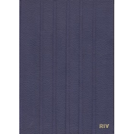 Manuale dei cuscinetti